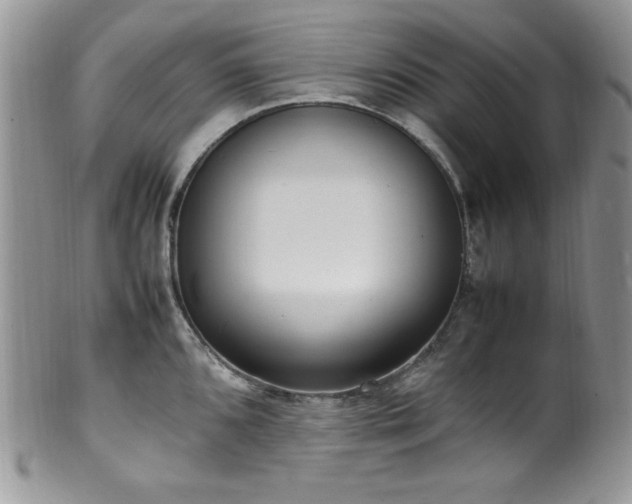 X0000100341096200806051532