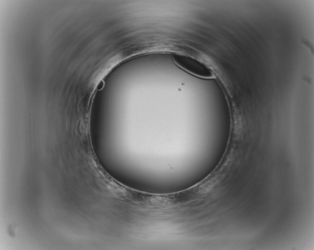 X0000100341097200806051532