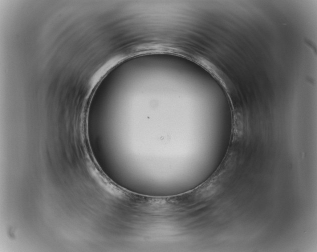 X0000100341098200806051532