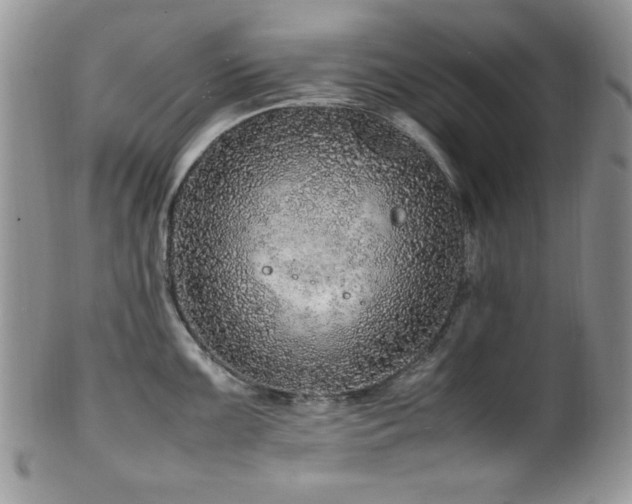 X0000100341099200806051532