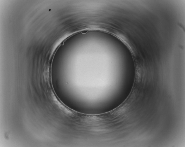 X0000100341100200806051532