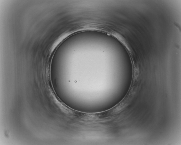 X0000100341101200806051532