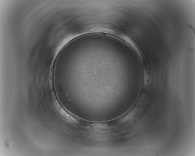 X0000100341102200806051532