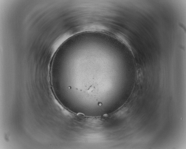 X0000100341103200806051532