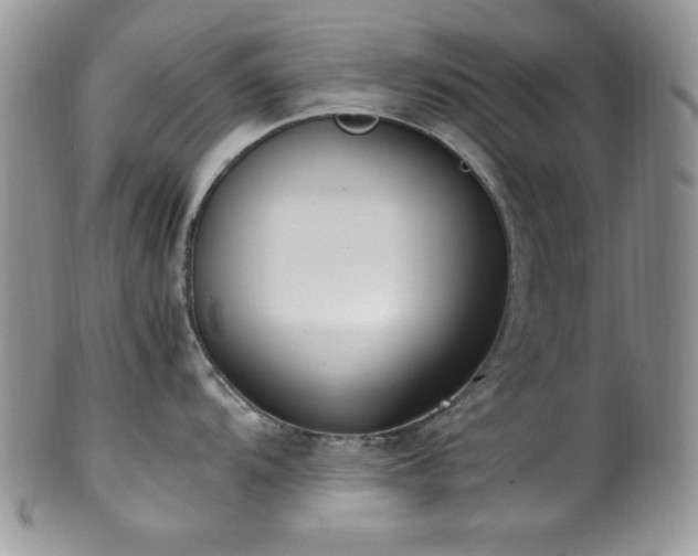 X0000100341104200806051532