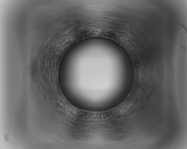 X0000100341105200806051531