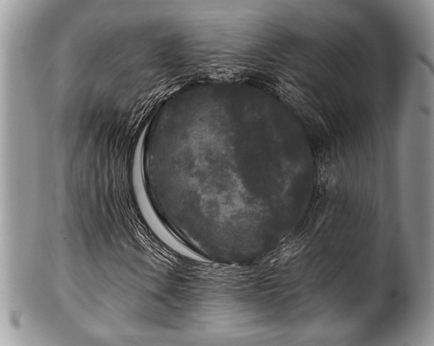 X0000100341106200806051531