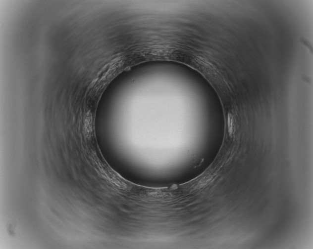 X0000100341107200806051531