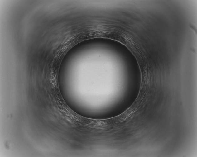 X0000100341109200806051531