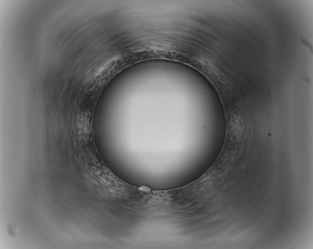 X0000100341110200806051531