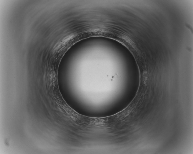 X0000100341111200806051531