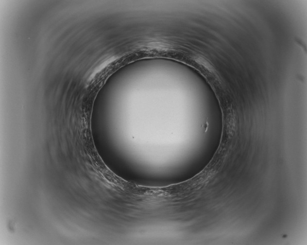 X0000100341112200806051531