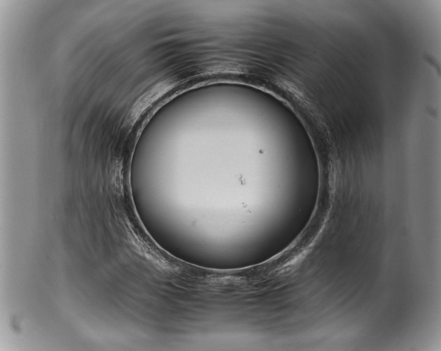 X0000100341113200806051531