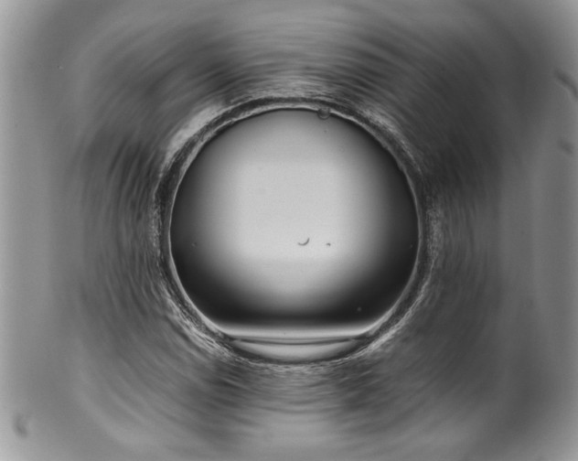 X0000100341114200806051531