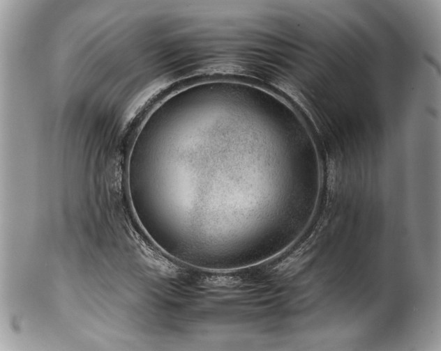X0000100341115200806051531