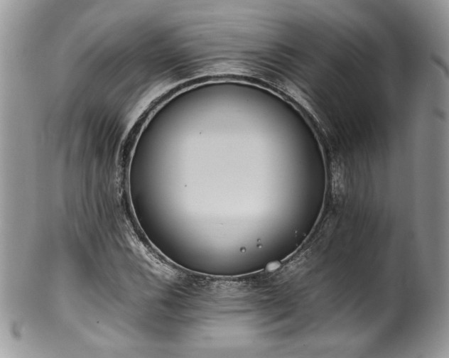 X0000100341116200806051531