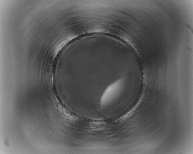 X0000100341117200806051531