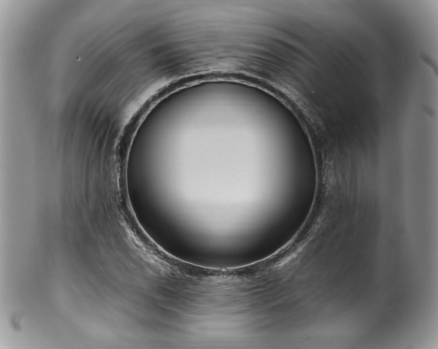 X0000100341118200806051531