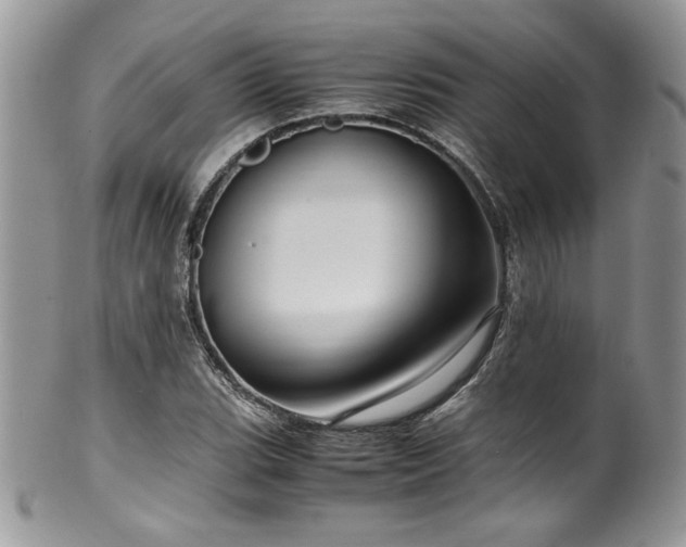 X0000100341119200806051531