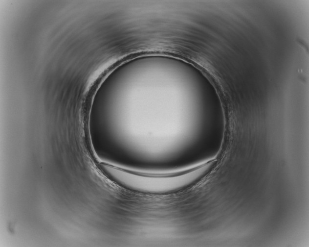 X0000100341120200806051531