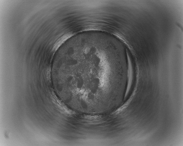 X0000100341121200806051531