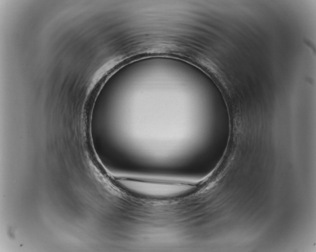 X0000100341122200806051531