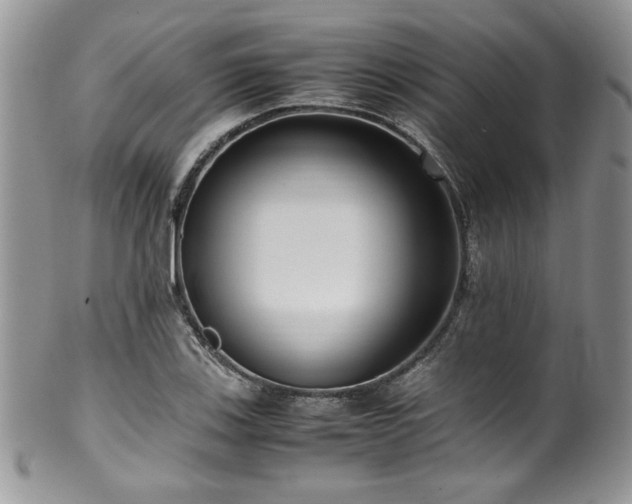 X0000100341123200806051532