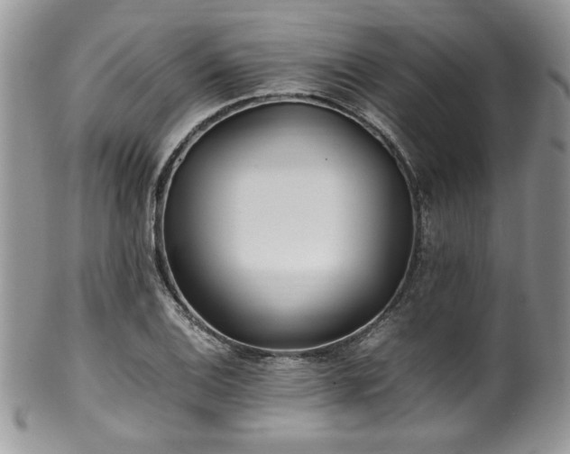 X0000100341124200806051532