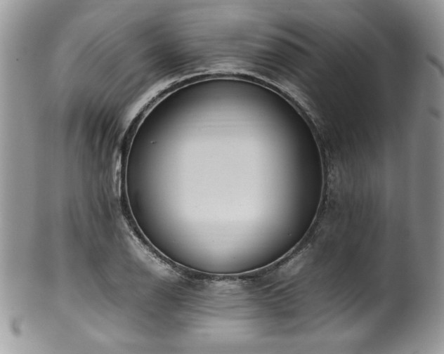 X0000100341126200806051532