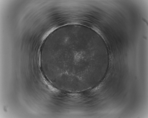X0000100341127200806051532