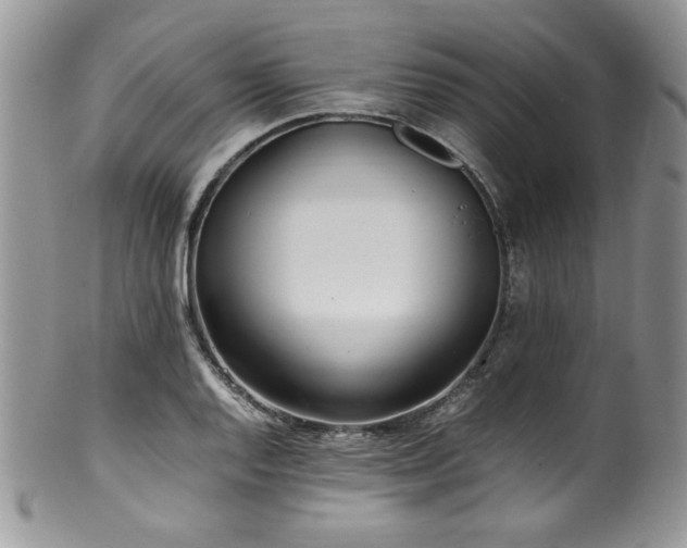 X0000100341128200806051532