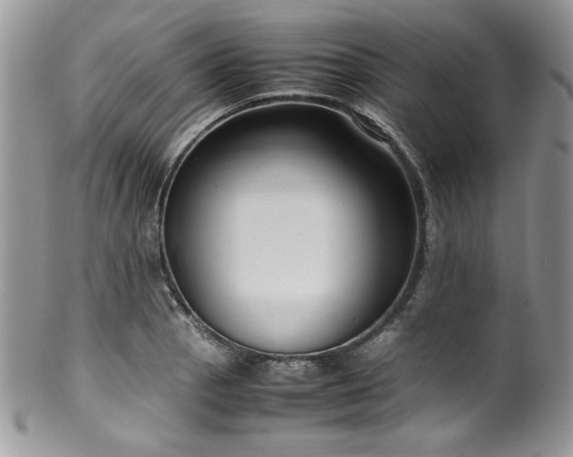 X0000100341129200806051532