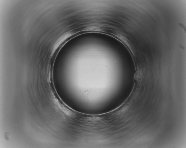 X0000100341131200806051532