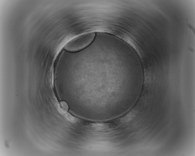 X0000100341132200806051532