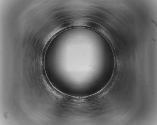 X0000100341133200806051532