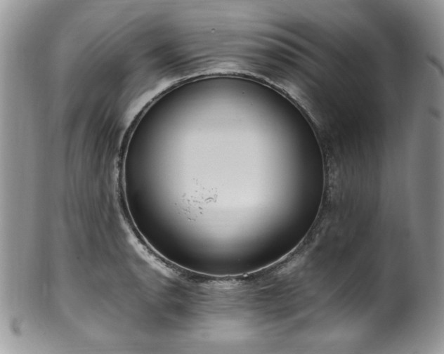 X0000100341134200806051532