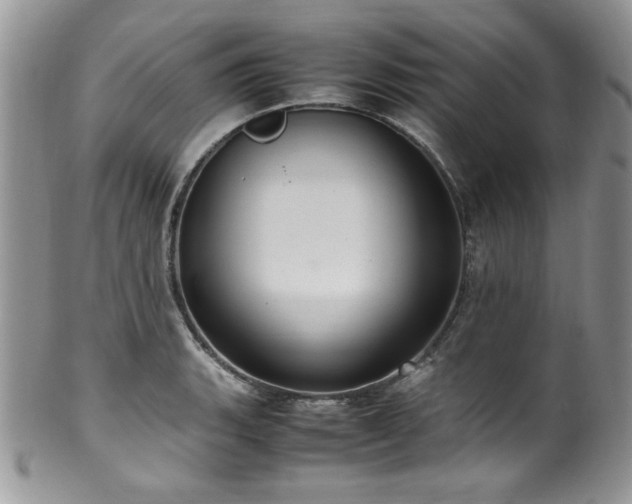 X0000100341135200806051532