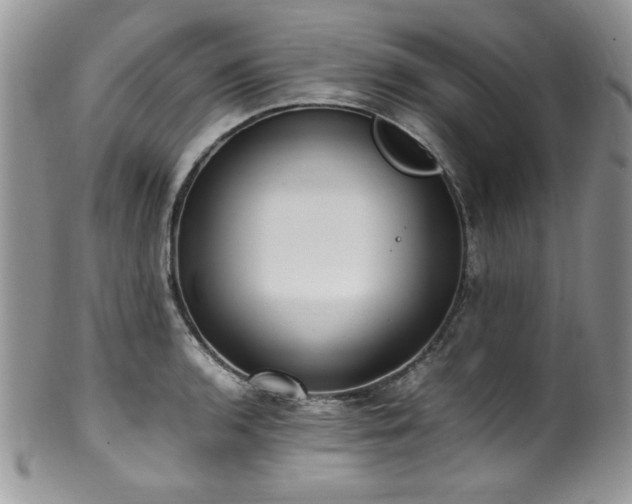 X0000100341136200806051532