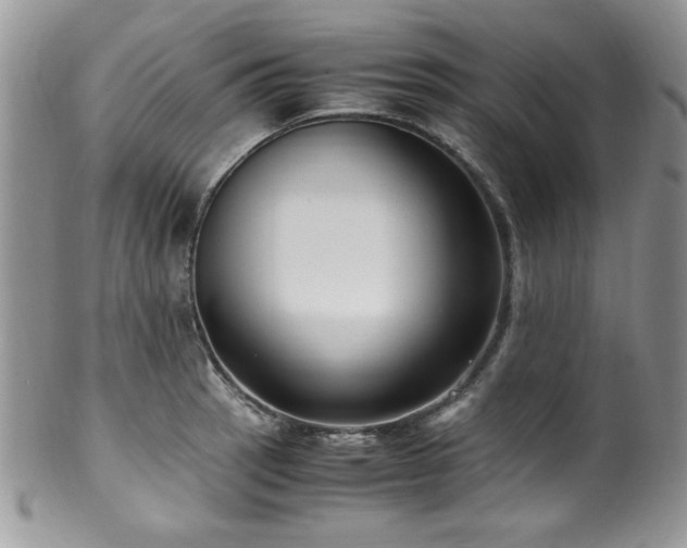 X0000100341137200806051532