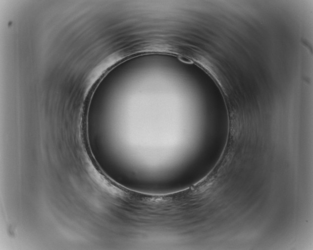 X0000100341139200806051532