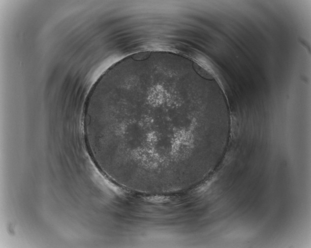 X0000100341141200806051532