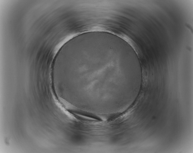 X0000100341142200806051532