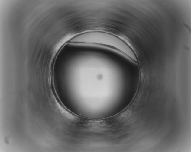 X0000100341143200806051532