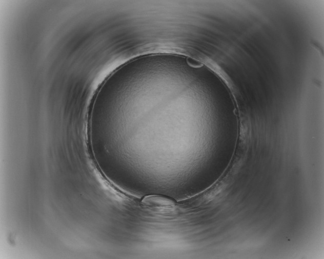 X0000100341144200806051532