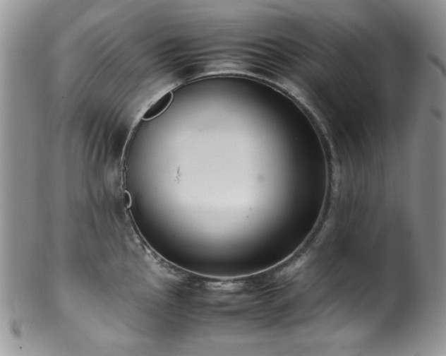 X0000100341145200806051532