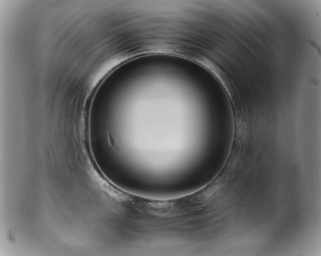 X0000100341147200806051532
