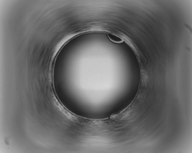 X0000100341148200806051532