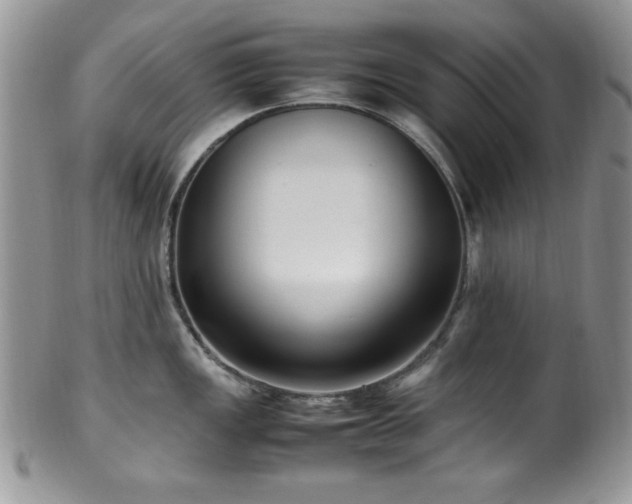 X0000100341149200806051532