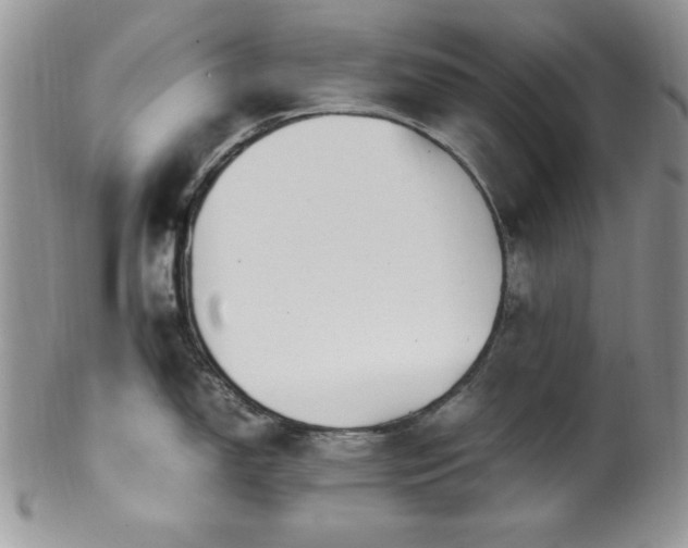 X0000100341150200806051532