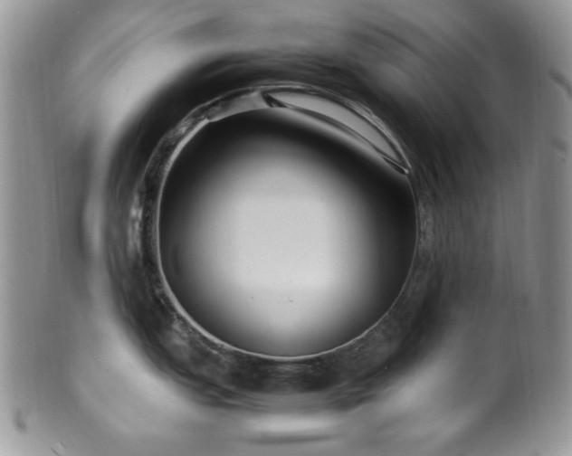 X0000100341151200806051532